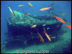 Water Tender on SS Thistlegorm. by Cigdem Cooper 